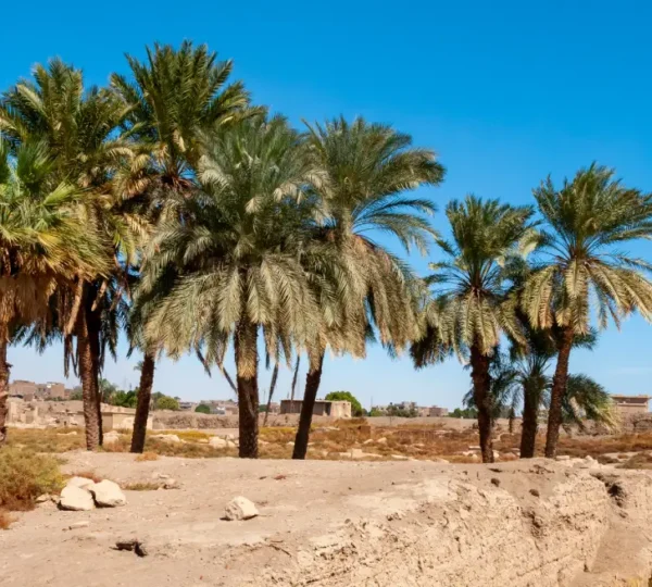 Bahariya-Oase – Beginn Ihres Wüstenabenteuers